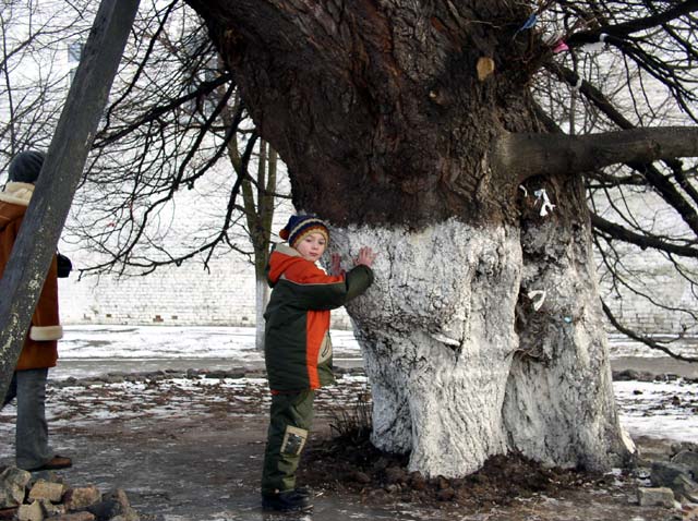 ���������